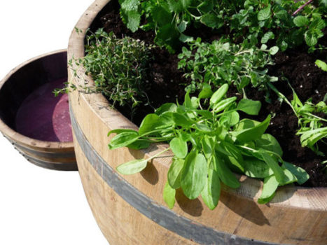 hochbeet fass